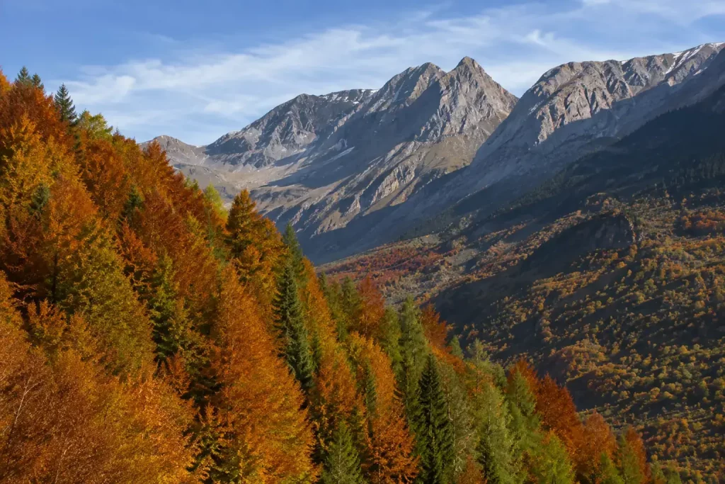 pirineo aragones en otoño y añisclo en otoño